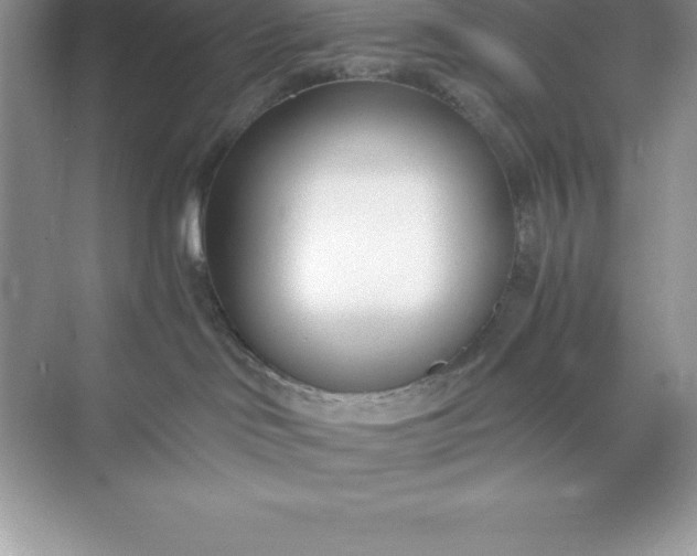 X0000071350046200607071735