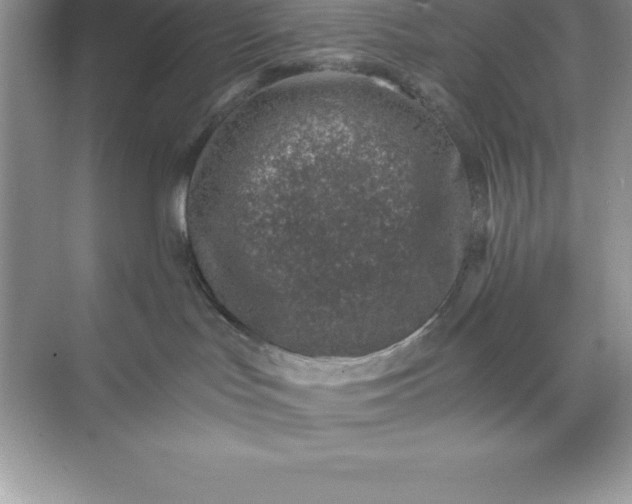 X0000071350047200607071735