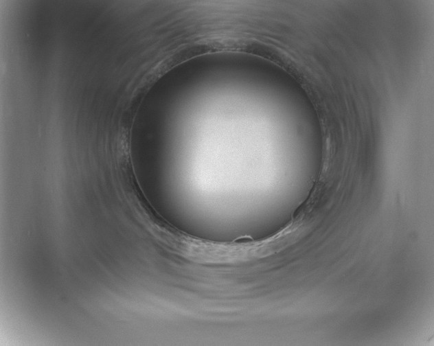 X0000071350048200607071735