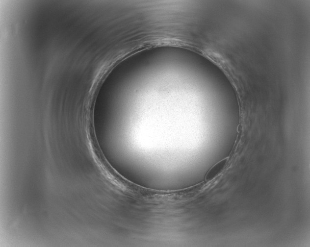 X0000071350049200607071734