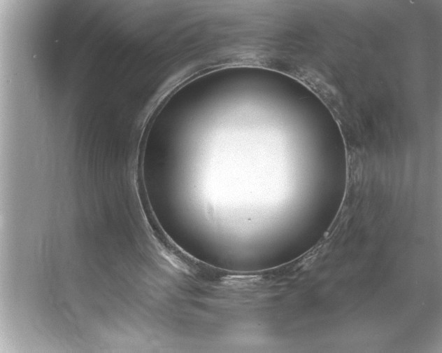 X0000071350051200607071734