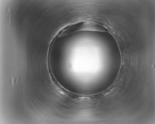 X0000071350052200607071734