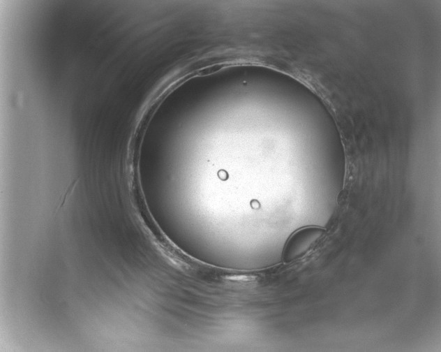 X0000071350053200607071734