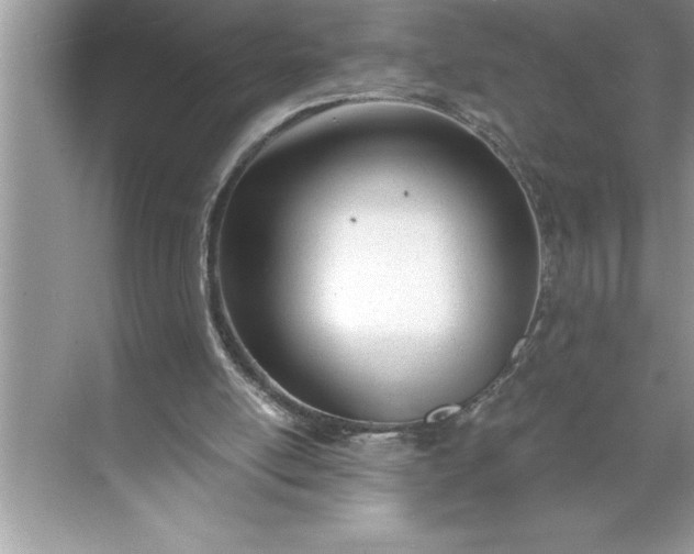 X0000071350054200607071734