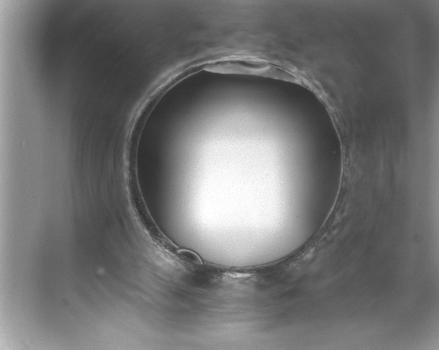 X0000071350055200607071734