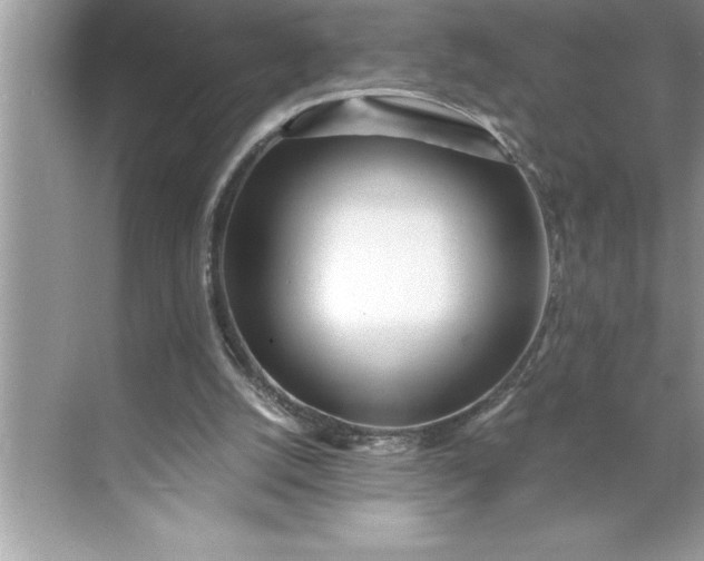 X0000071350056200607071734