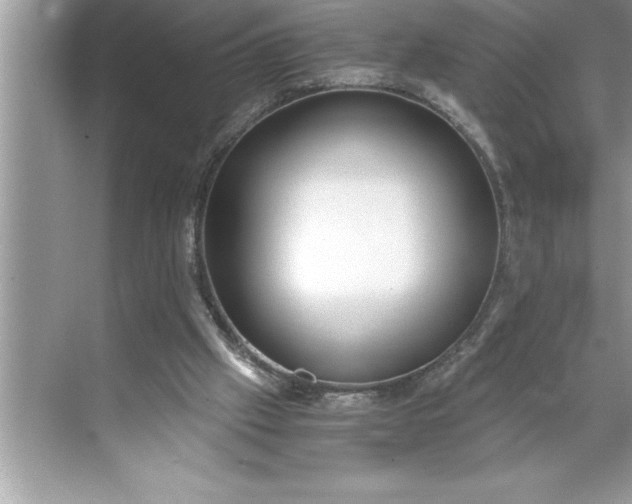 X0000071350057200607071734