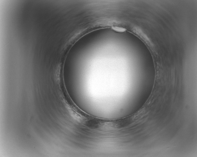 X0000071350058200607071734