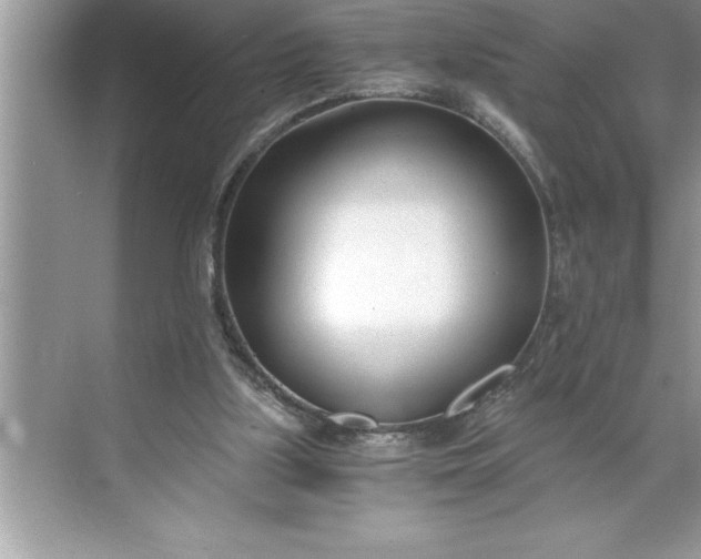 X0000071350059200607071734