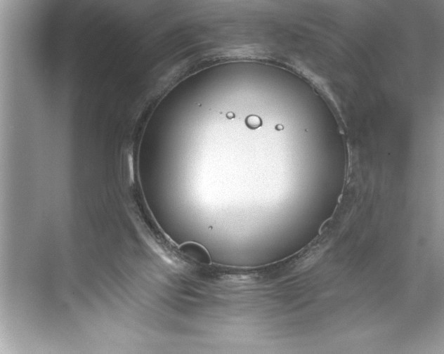 X0000071350061200607071735