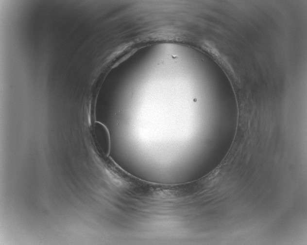 X0000071350062200607071735