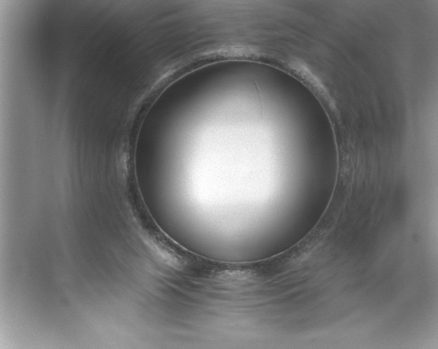 X0000071350063200607071735