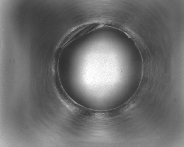 X0000071350064200607071735