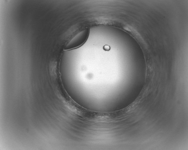 X0000071350066200607071735