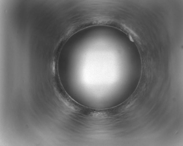 X0000071350067200607071735