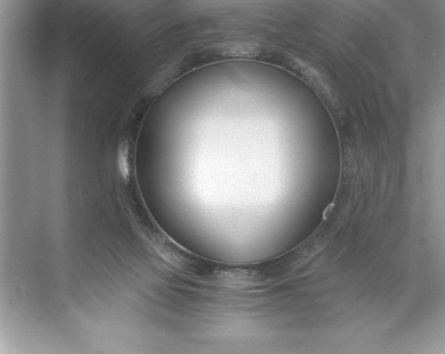 X0000071350069200607071735