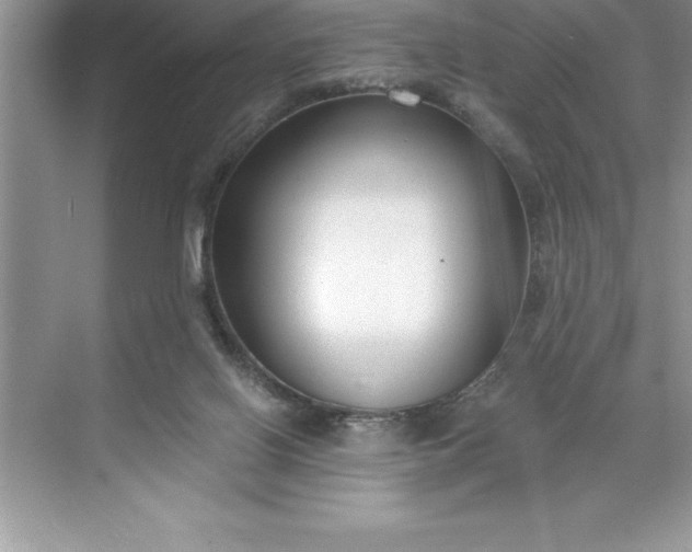 X0000071350070200607071735