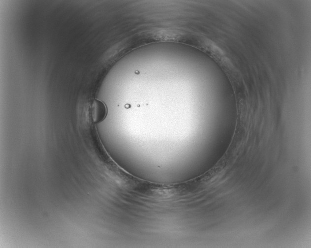 X0000071350071200607071735