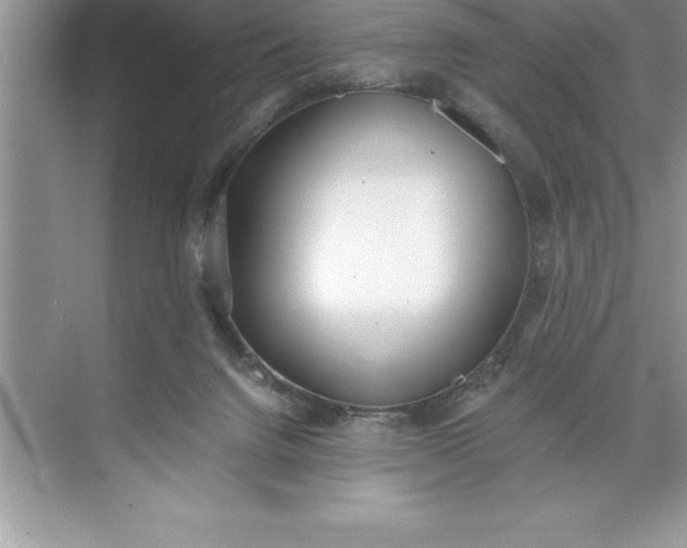 X0000071350072200607071735