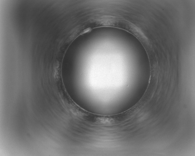 X0000071350073200607071735