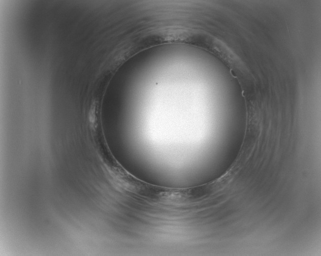 X0000071350074200607071735