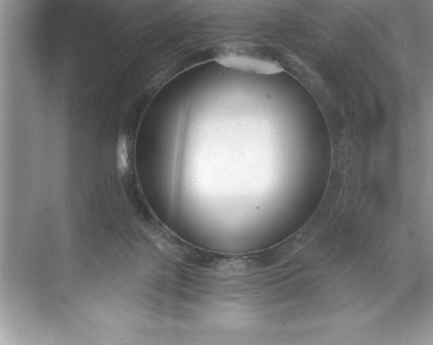 X0000071350075200607071735