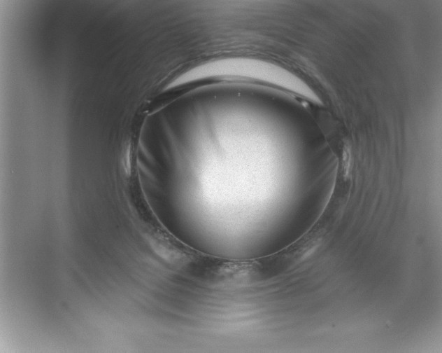 X0000071350076200607071735