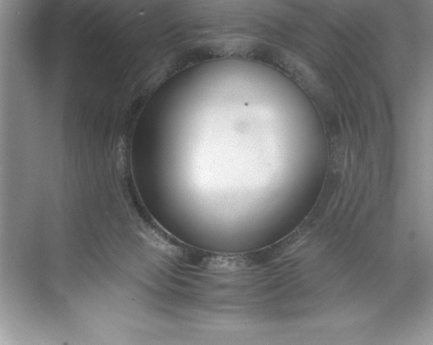 X0000071350077200607071735