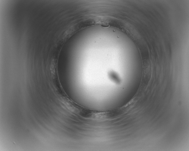 X0000071350078200607071735