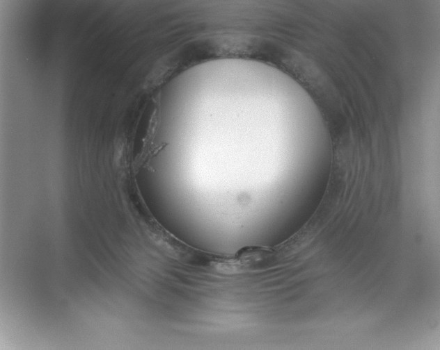 X0000071350079200607071735