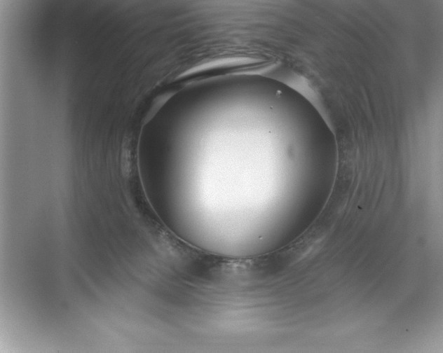 X0000071350080200607071735