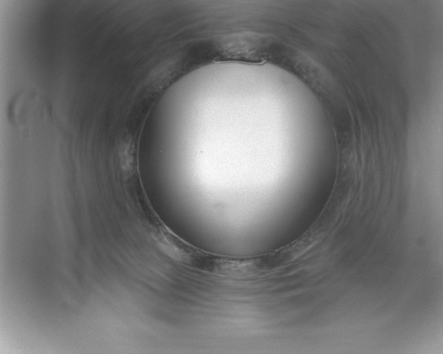 X0000071350081200607071735