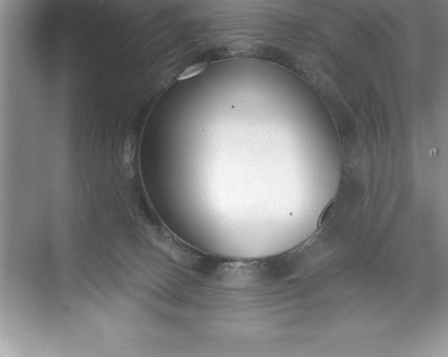 X0000071350082200607071735