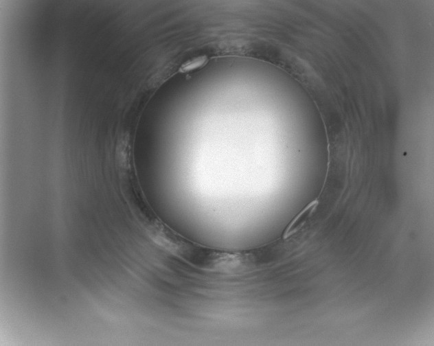 X0000071350083200607071735