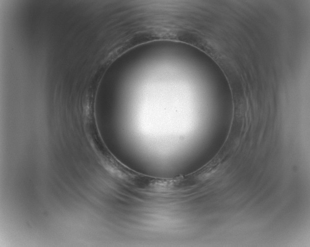 X0000071350084200607071735