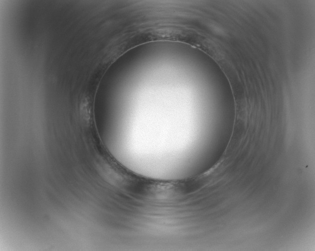 X0000071350086200607071735