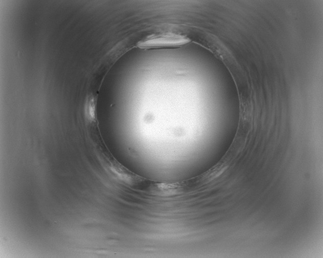 X0000071350095200607071735