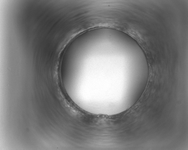 X0000071350098200607071734