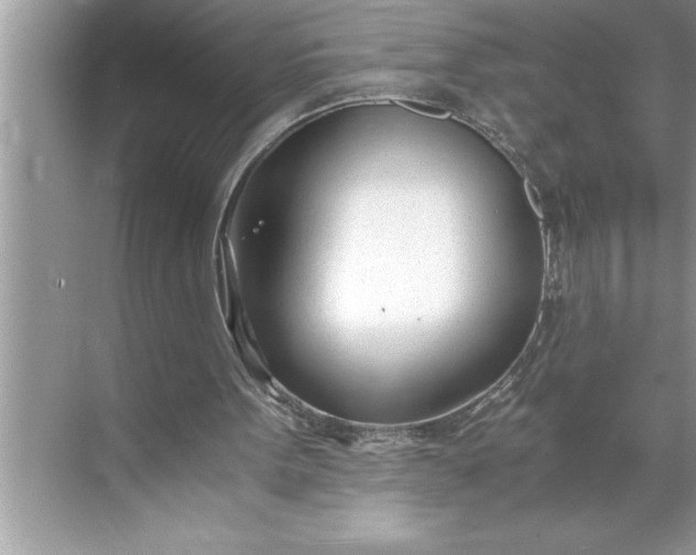 X0000071350099200607071734