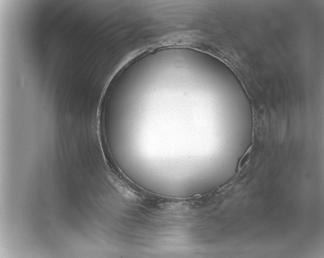 X0000071350100200607071734