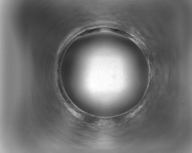 X0000071350101200607071734