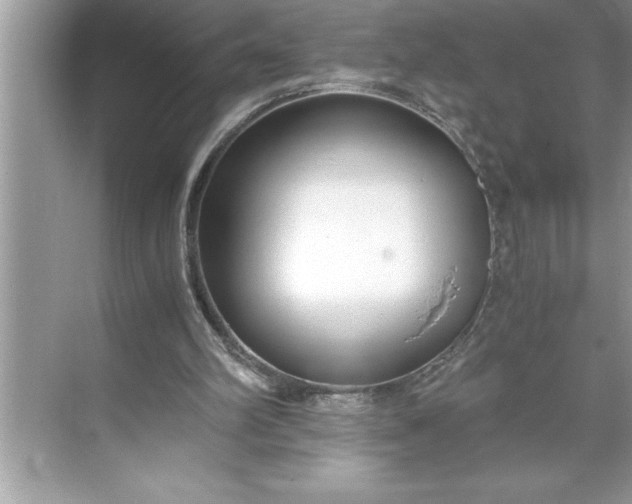 X0000071350102200607071734