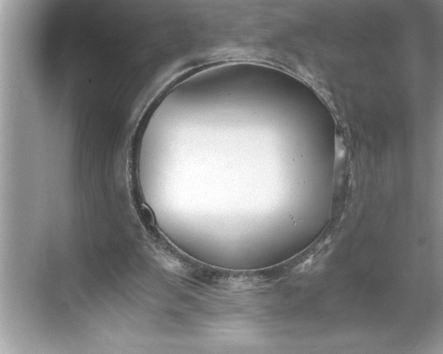 X0000071350103200607071734