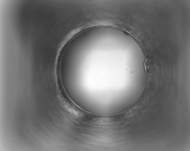 X0000071350104200607071734