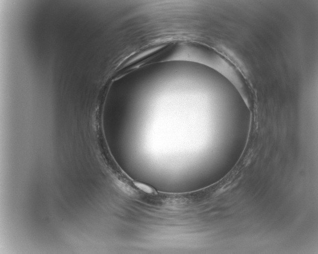 X0000071350105200607071734