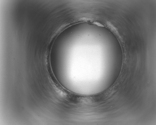 X0000071350106200607071734