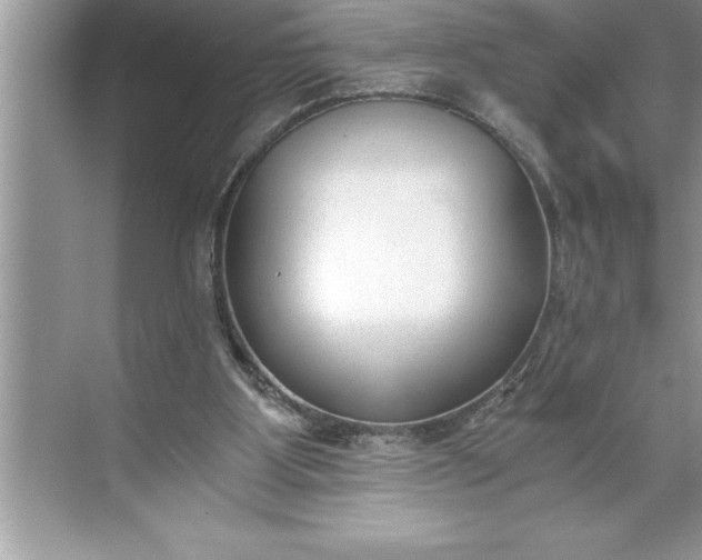 X0000071350107200607071734