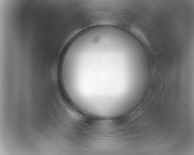 X0000071350108200607071734