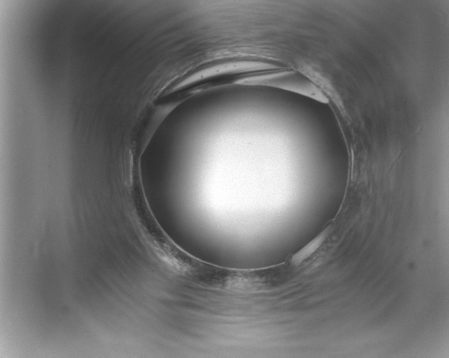 X0000071350109200607071734