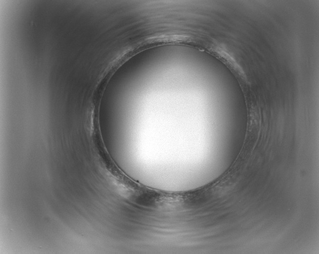 X0000071350110200607071734